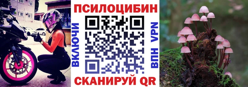 Псилоцибиновые грибы Cubensis  Купить  Магадан 